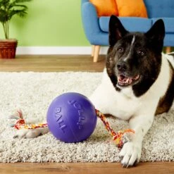 Jolly Pets Romp-n-Roll Dog Toy -Pet Dog Toys 53658 PT8. AC SS1800 V1502999469