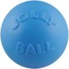 Jolly Pets Bounce-n-Play Dog Toy, Blueberry -Pet Dog Toys 53661 MAIN. AC SS1800 V1629243987