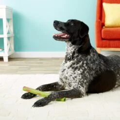 Ruff Dawg Stick Dog Fetch Toy, Color Varies -Pet Dog Toys 53803 PT8. AC SS1800 V1507036192