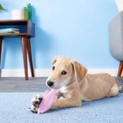 Ruff Dawg FlyingFish Dog Fetch Toy, Color Varies -Pet Dog Toys 53808 PT7. AC SS1800 V1515535539