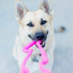 Ruff Dawg Tug Toy, Color Varies -Pet Dog Toys 53811 PT2. AC SS1800 V1602319560