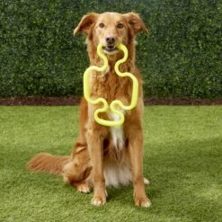 Ruff Dawg Tug Toy, Color Varies -Pet Dog Toys 53811 PT4. AC SS1800 V1530540718