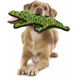 Tuffy's Ocean Creatures Gary Gator Squeaky Plush Dog Toy -Pet Dog Toys 54129 PT2. AC SS1800 V1589492197