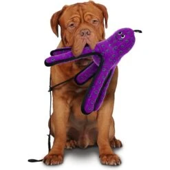 Tuffy's Ocean Creatures Purple Pete Squeaky Plush Dog Toy 8 Tuffy's Ocean Creatures Purple Pete Squeaky Plush Dog Toy -Pet Dog Toys 54140 PT2. AC SS1800 V1589492215