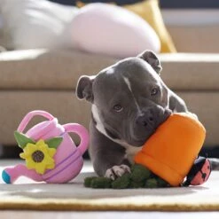 Frisco Spring Potted Plant And Watering Can Plush Squeaky Dog Toy 10 Frisco Spring Potted Plant And Watering Can Plush Squeaky Dog Toy -Pet Dog Toys 541494 PT4. AC SS1800 V1702500565