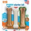 Nylabone Puppy Starter Pack Triple Starter Pack -Pet Dog Toys 54226 MAIN. AC SS1800 V1658765744