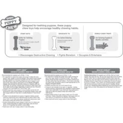 Nylabone Puppy Starter Pack Triple Starter Pack 13 Nylabone Puppy Starter Pack Triple Starter Pack -Pet Dog Toys 54226 PT2. AC SS1800 V1693419713