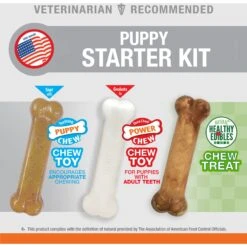 Nylabone Puppy Starter Pack Triple Starter Pack 15 Nylabone Puppy Starter Pack Triple Starter Pack -Pet Dog Toys 54226 PT4. AC SS1800 V1693419290