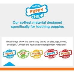 Nylabone Puppy Starter Pack Triple Starter Pack 17 Nylabone Puppy Starter Pack Triple Starter Pack -Pet Dog Toys 54226 PT6. AC SS1800 V1693419684