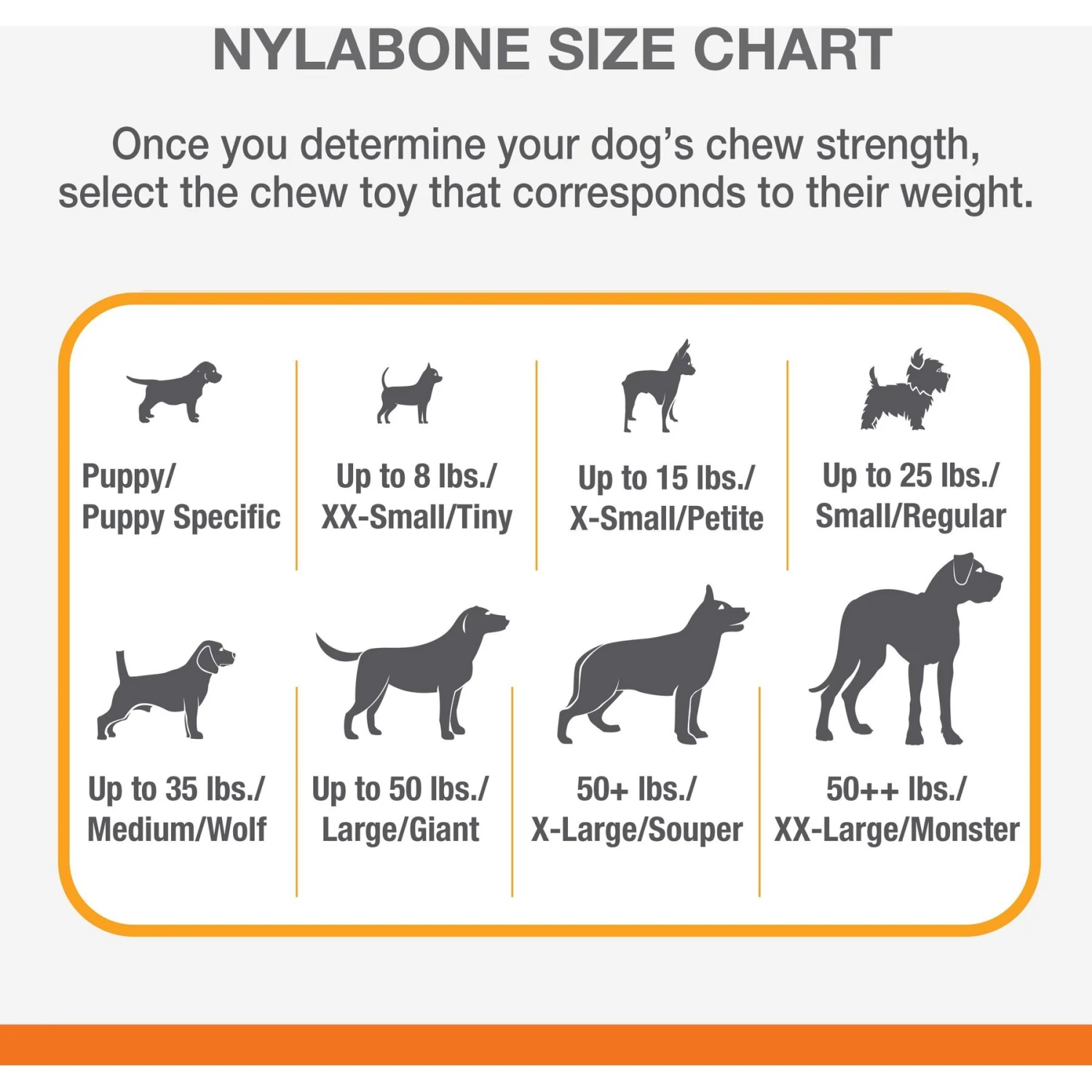 Nylabone Double Action Power Chew Durable Dog Toy 7 Nylabone Double Action Power Chew Durable Dog Toy - Image 5
