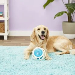 JW Pet Rockin Treat Ball 8 JW Pet Rockin Treat Ball -Pet Dog Toys 55169 PT2. AC SS1800 V1530541353