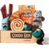 Goody Box Adventure Toys & Treats For Dogs