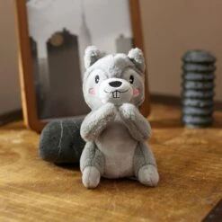 Goody Box Adventure Toys & Treats For Dogs -Pet Dog Toys 555150 PT5. AC SS1800 V1690378688