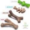 Benebone Multipack Durable Dog Chew Toy, 4 Count -Pet Dog Toys 571878 MAIN. AC SS1800 V1672433005