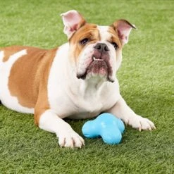 Pet Dog Toys -Pet Dog Toys 58024 PT1. AC SS1800 V1531556552