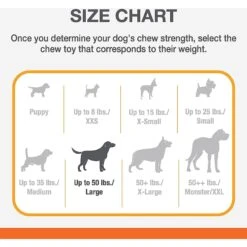 Nylabone Power Chew Dental Chew Chicken Flavored Dinosaur Dog Chew Toy, Character Varies -Pet Dog Toys 58341 PT3. AC SS1800 V1688392179