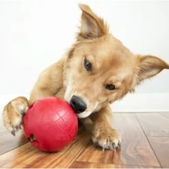 KONG Classic Biscuit Ball Dog Toy -Pet Dog Toys 59149 PT4. AC SS1800 V1603166792