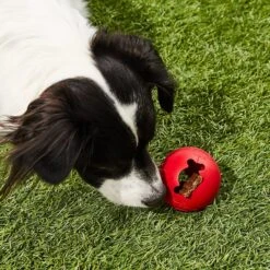 KONG Classic Biscuit Ball Dog Toy -Pet Dog Toys 59149 PT5. AC SS1800 V1603160486