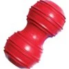 KONG Dental Dog Toy