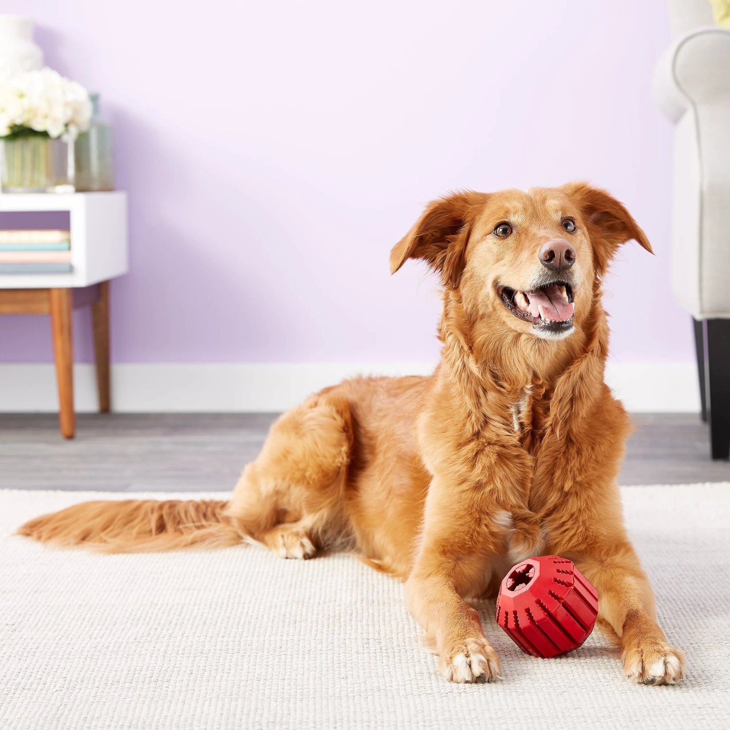 KONG Stuff A Ball Dog Toy 6 KONG Stuff A Ball Dog Toy - Image 4