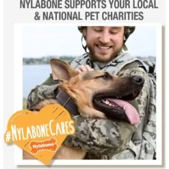 Nylabone FlexiChew Moderate Dog Chew Toys Triple Pack Variety -Pet Dog Toys 59243 PT4. AC SS1800 V1685650195