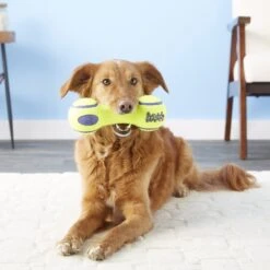 KONG AirDog Dumbbell Dog Toy -Pet Dog Toys 59301 PT3. AC SS1800 V1603145483