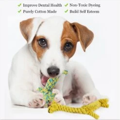 SunGrow Aggressive Chewers Small Dog & Cat Tug Of War Rope & Chase Teething Toys, 2 Count 12 SunGrow Aggressive Chewers Small Dog & Cat Tug Of War Rope & Chase Teething Toys, 2 Count -Pet Dog Toys 604518 PT4. AC SS1800 V1697054916