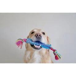 Petstages Orka Stick Tough Dog Chew Toy 10 Petstages Orka Stick Tough Dog Chew Toy -Pet Dog Toys 61943 PT2. AC SS1800 V1636497228