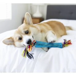 Petstages Orka Stick Tough Dog Chew Toy 11 Petstages Orka Stick Tough Dog Chew Toy -Pet Dog Toys 61943 PT3. AC SS1800 V1636498680