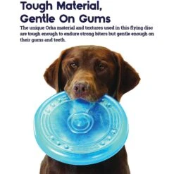 Petstages Orka Flyer Tough Dog Toy -Pet Dog Toys 61957 PT2. AC SS1800 V1636504087