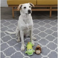 Petstages Monkey Stuffing-Free Squeaky Dog Plush Toy 13 Petstages Monkey Stuffing-Free Squeaky Dog Plush Toy -Pet Dog Toys 62012 PT4. AC SS1800 V1636508189