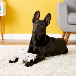 KONG Cozie Buster The Koala Dog Toy -Pet Dog Toys 62765 PT2. AC SS1800 V1531425187