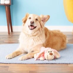 KONG Cozie Floppy The Rabbit Dog Toy -Pet Dog Toys 62767 PT2. AC SS1800 V1531425425