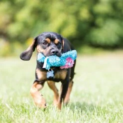 KONG Cozie King The Purple Haired Lion Dog Toy -Pet Dog Toys 62768 PT2. AC SS1800 V1631777175