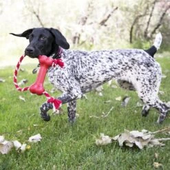 KONG Goodie Bone With Rope Dog Toy 8 KONG Goodie Bone With Rope Dog Toy -Pet Dog Toys 62871 PT3. AC SS1800 V1603148850