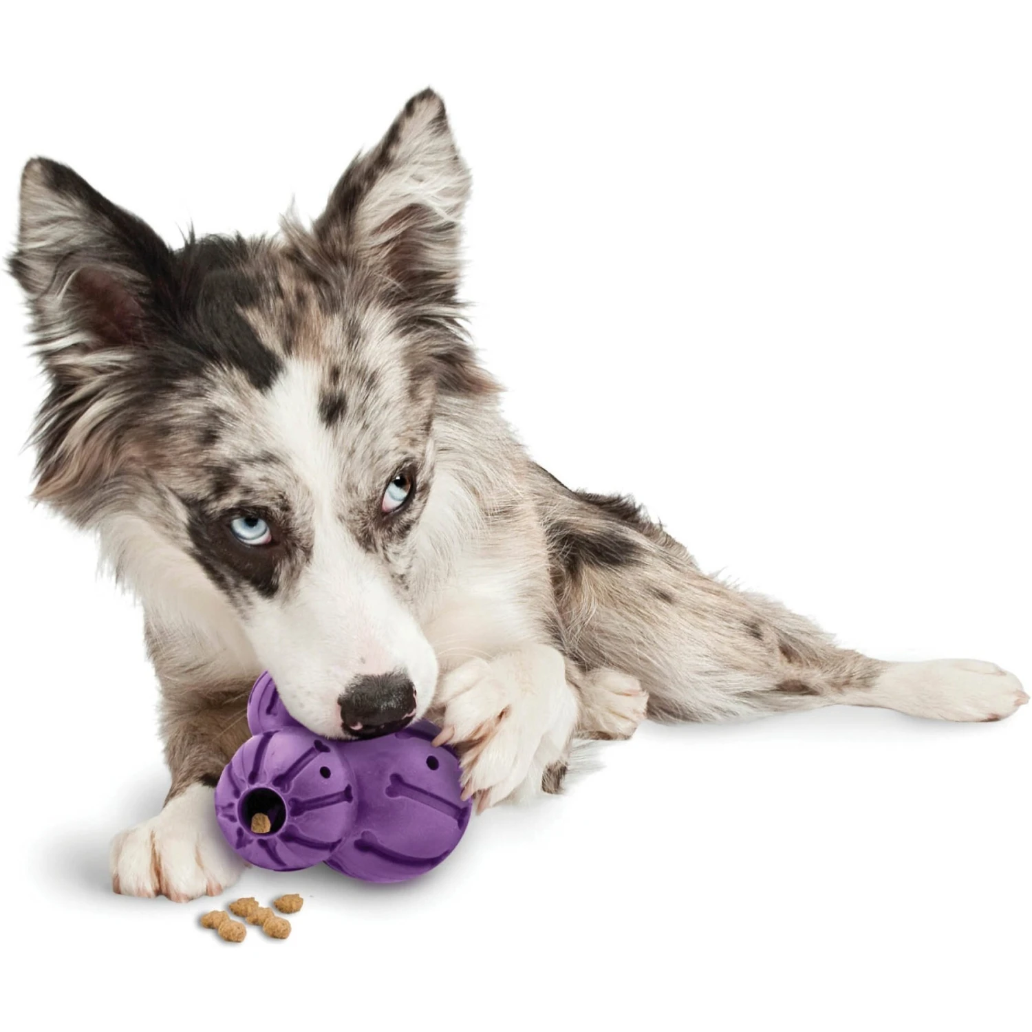 PetSafe Busy Buddy Barnacle Treat Dispenser Tough Dog Chew Toy 5 PetSafe Busy Buddy Barnacle Treat Dispenser Tough Dog Chew Toy - Image 3