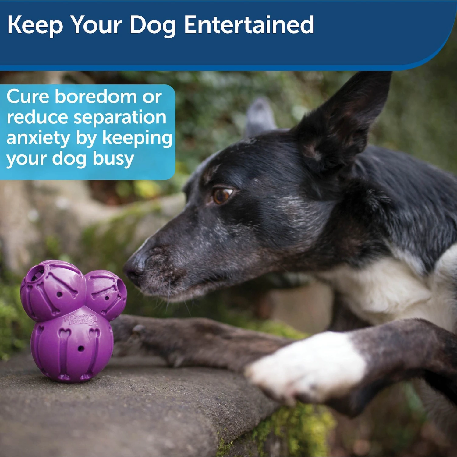 PetSafe Busy Buddy Barnacle Treat Dispenser Tough Dog Chew Toy 6 PetSafe Busy Buddy Barnacle Treat Dispenser Tough Dog Chew Toy - Image 4