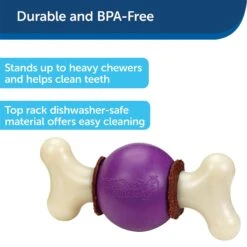 PetSafe Busy Buddy Bouncy Bone Treat Dispenser Tough Dog Chew Toy 10 PetSafe Busy Buddy Bouncy Bone Treat Dispenser Tough Dog Chew Toy -Pet Dog Toys 63845 PT2. AC SS1800 V1619990239