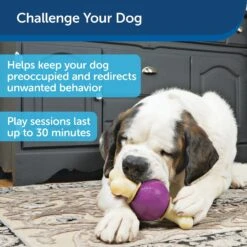 PetSafe Busy Buddy Bouncy Bone Treat Dispenser Tough Dog Chew Toy 11 PetSafe Busy Buddy Bouncy Bone Treat Dispenser Tough Dog Chew Toy -Pet Dog Toys 63845 PT3. AC SS1800 V1619891861