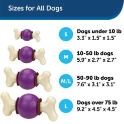 PetSafe Busy Buddy Bouncy Bone Treat Dispenser Tough Dog Chew Toy 12 PetSafe Busy Buddy Bouncy Bone Treat Dispenser Tough Dog Chew Toy -Pet Dog Toys 63845 PT4. AC SS1800 V1619991426