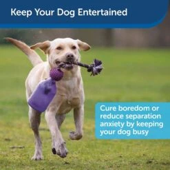 PetSafe Busy Buddy Tug-A-Jug Treat Dispenser Tough Dog Chew Toy -Pet Dog Toys 63851 PT3. AC SS1800 V1602338765