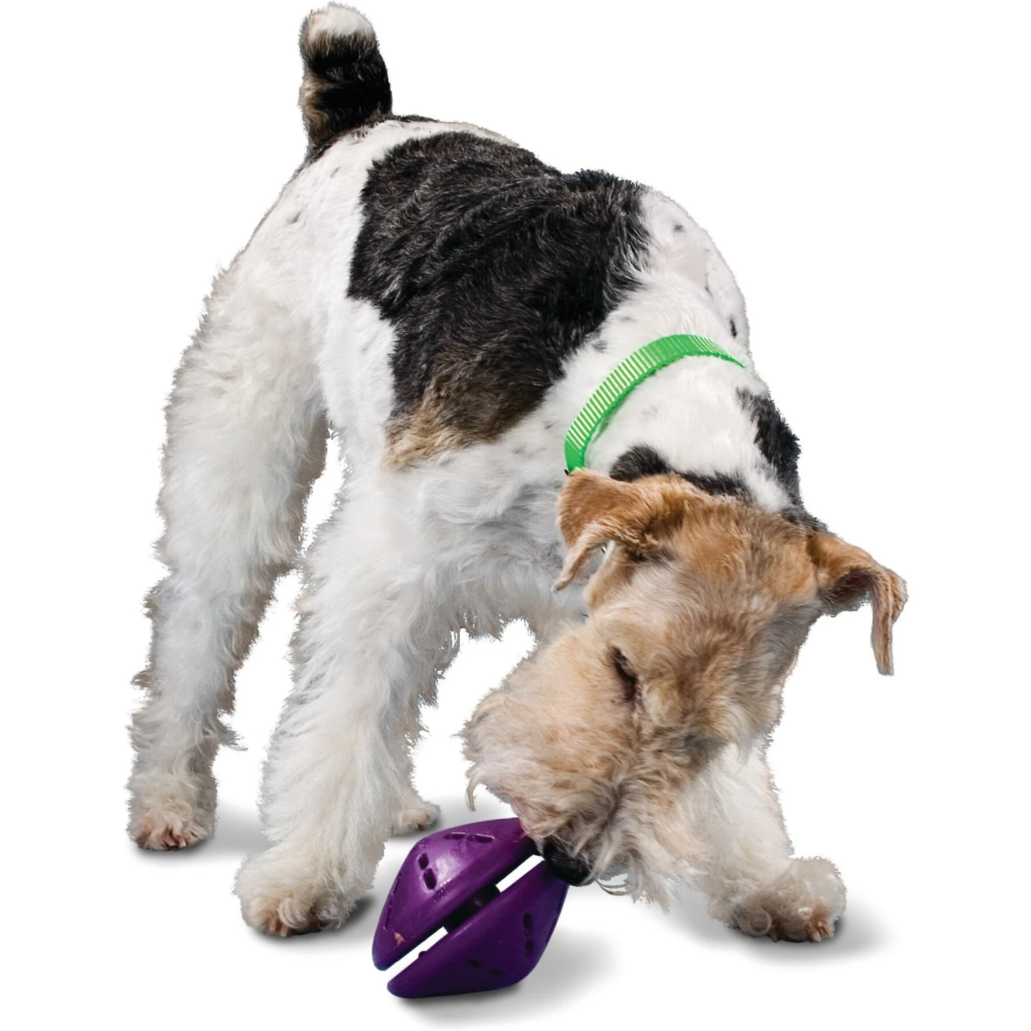 PetSafe Busy Buddy Twist 'n Treat Treat Dispenser Dog Toy 5 PetSafe Busy Buddy Twist 'n Treat Treat Dispenser Dog Toy - Image 3