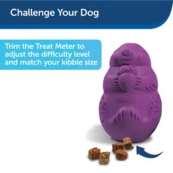 PetSafe Busy Buddy Squirrel Dude Treat Dispenser Tough Dog Chew Toy -Pet Dog Toys 63868 PT6. AC SS1800 V1602310866