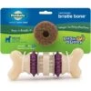PetSafe Busy Buddy Bristle Bone Treat Dispenser Tough Dog Chew Toy