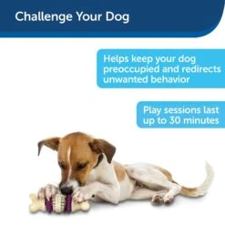 PetSafe Busy Buddy Bristle Bone Treat Dispenser Tough Dog Chew Toy -Pet Dog Toys 63878 PT3. AC SS1800 V1617315692