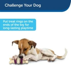 PetSafe Busy Buddy Bristle Bone Treat Dispenser Tough Dog Chew Toy -Pet Dog Toys 63878 PT6. AC SS1800 V1602332461