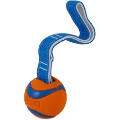 Chuckit! Ultra Tug Ball Tough Dog Toy