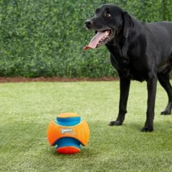 Chuckit! Kick Fetch Ball Dog Toy 9 Chuckit! Kick Fetch Ball Dog Toy -Pet Dog Toys 64758 PT2. AC SS1800 V1543519057
