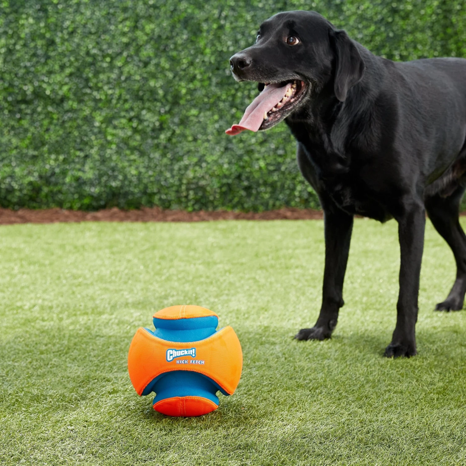 Chuckit! Kick Fetch Ball Dog Toy 5 Chuckit! Kick Fetch Ball Dog Toy - Image 3