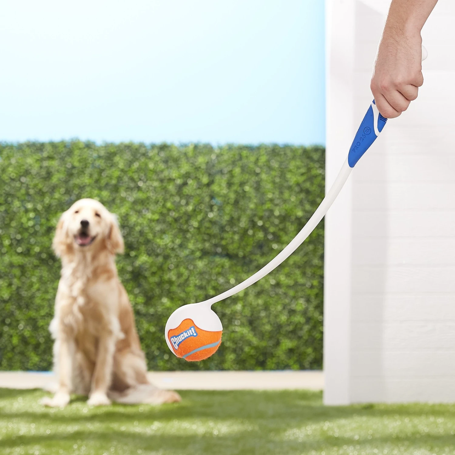 Chuckit! Pro Launcher Dog Toy, Color Varies 4 Chuckit! Pro Launcher Dog Toy, Color Varies - Image 2